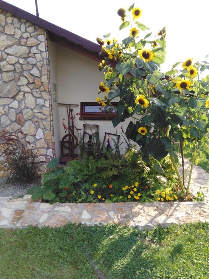 Czytelnia W Sadzie Villa Krzykawka Exterior foto