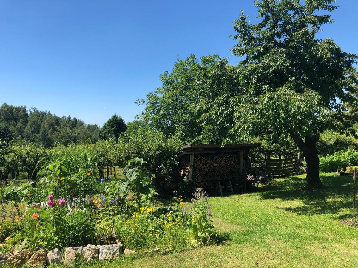 Czytelnia W Sadzie Villa Krzykawka Exterior foto